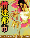 我的极品老婆们