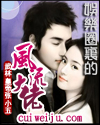 逍遥公子(风流懂事长)