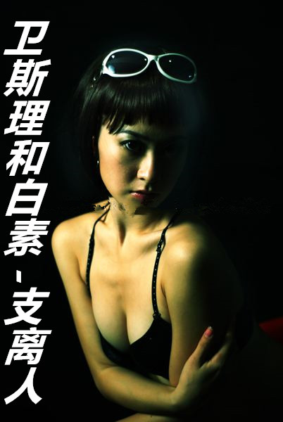 母子情史