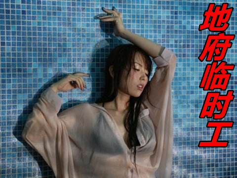 开放的世界