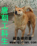 神纹战记