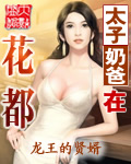 美利坚之山林称王