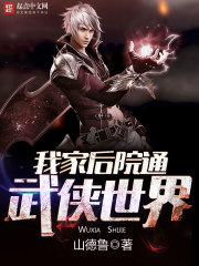炼宝专家