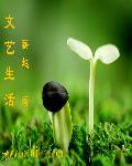 阐教有金仙