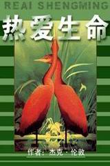 随身游戏在异界