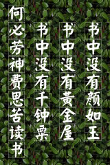 梦幻倚天