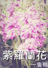 大君的女人