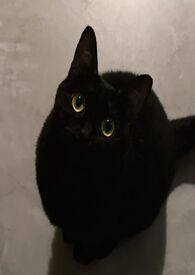 迢迢暗度