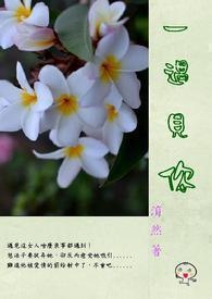 在你爱上别人之前