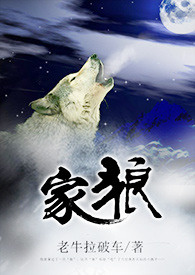 红尘少帅
