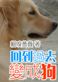 扒灰系列