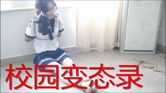 红色日志系