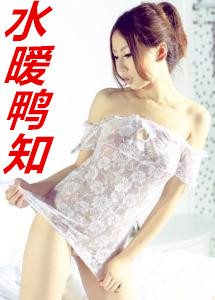 甲铁城上的淫女