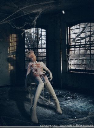 公安局长
