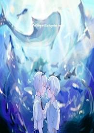 灰鸟