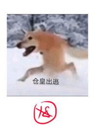 安红豆