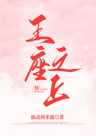 他的视线(西幻1v1）