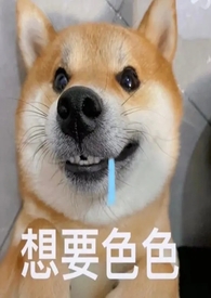 山海谣