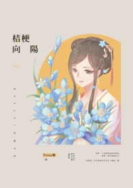 天坠者
