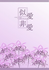 迟来的圣诞礼物