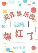 班尧寨记事