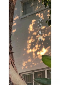 大幂幂,大咪咪，大秘密