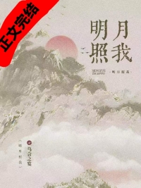 顶级伪装