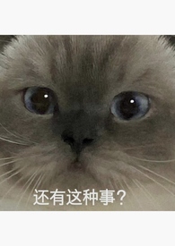 我的鹤发童颜白毛萝莉傲娇仙人祖宗才不可能被巨根轻浮蛮汉ntr隐奸恶堕