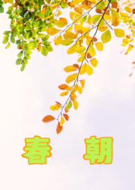 被失忆霸总娶回家后