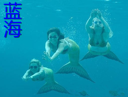 陆夏兰的沦陷