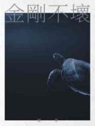 团宠八零年代：我有一座星际农场