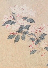 假死后我被新帝抢进宫